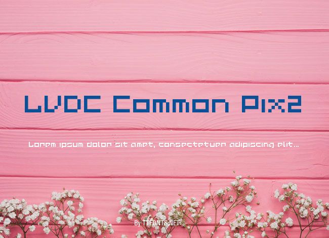 LVDC Common Pix2 example